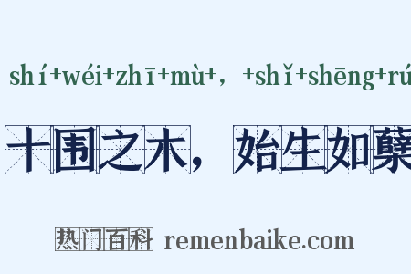 十围之木，始生如蘖是什么意思的图片